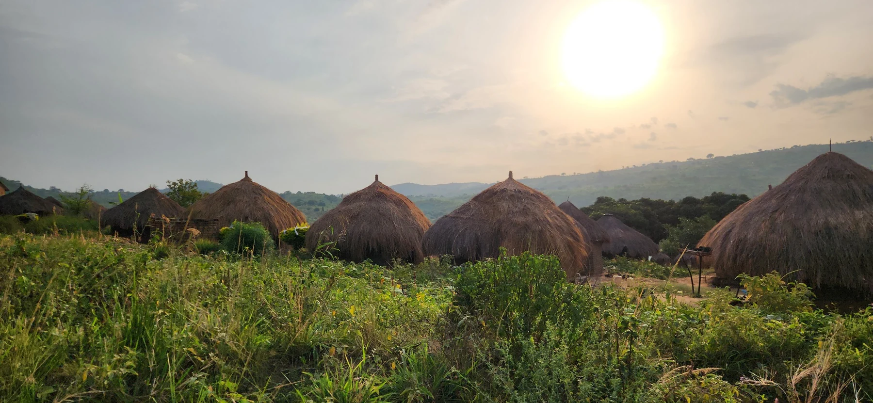 A wide view of a rural community landscape and homesteads.